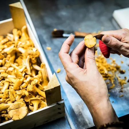 Restaurant Zum Storchen Hotel